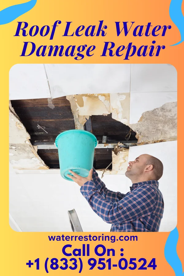 Roof Leak Water Damage Repair in West Havre, MT